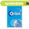 ORBIT Peppermint Bag 21rdazs� 29g