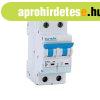NEW KISMEGSZAK�T� C102L 50A 2P 10kA CURVE B