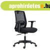 ANTARES DELFO ergonomikus irodai szk