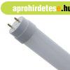 LED Tube T8 G13 9W 60cm 6500K 770lm 230V glass Forever Light