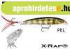 Rapala XR10 X-Rap 10cm 13g wobbler - Pel Sz�nben