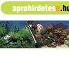 Ebi Photo Decor Stone + Coral 60 X 30Cm Akv�rium H�tt�r K�t 