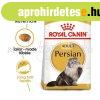 Royal Canin Persian Adult 400 g