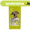 Dog Chow Adult Large Breed Pulyk�val 14kg