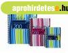 Spir�lf�zet, A4+, vonalas, 100 lap, PUKKA PAD "Stripe J