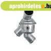 Termoszt�t Steyr 131100060065