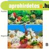 Akv�rium H�tt�rpap�r, K�toldalas Akv�rium Dekorat�v H�tt�r