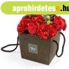 Szappanvir�g csokor piros r�zsa �s szegf�