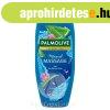 Palmolive tusfrd 500ml Welln. Massage