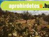 Kúria, szállásadó hely | Az ingatlan kiváló választás falusi Kúria, szállásadó hely | Az ingatlan kiváló választás falusi