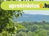 Solym�r Gy�rgyhegyen nagy telek elad�