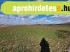 Mez�gazdas�gi birtok | Z�k�nysz�k � -i r�sz�n 12,5 ha f�ld �
