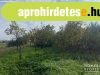 Elad zrt kert Hdmezvsrhelyen!