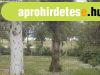 Remek vzparti mkd panzi elad! - Balatonboglr