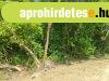 Szőlősgyörökön telek eladó Szőlősgyörökön telek eladó