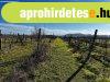 Panorms Szlvel teleptett pthet kertes mezgazdasgi 