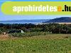 PANORMS ,PTHET - elad MEZGAZDASGI TERLET BALATONFR