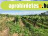 PANORÁMÁS szőlő-ELADÓ Szentantalfán - Szentantalfa PANORÁMÁS szőlő-ELADÓ Szentantalfán - Szentantalfa