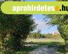 Elad zldvezeti ptsi telek Csajgon!