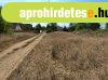 Eladó vízparti telek Tiszapüspöki Holt-Tiszánál! Eladó vízparti telek Tiszapüspöki Holt-Tiszánál!