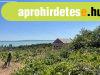 Eladó Balatatonszepezden egy örökpanorámás külterületi telek Eladó Balatatonszepezden egy örökpanorámás külterületi telek