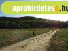 Elad klterleti telek Mindszentklla hatrban!