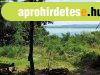 Balatoni panorms telek, sajt tulajdon erdrsszel Rvfl