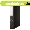Gy�r�s k�nyv, 2 gy�r�, D alak�, 45 mm, A4, PP/karton, DONAU,