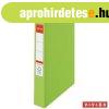 Gy�r�s k�nyv, 2 gy�r�, 42 mm, A4, PP, ESSELTE "Standard