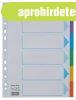 Regiszter, karton, A4, 6 r�szes, �rhat� el�lappal, ESSELTE &