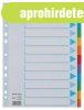 Regiszter, karton, A4, 12 r�szes, �rhat� el�lappal, ESSELTE 