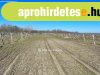 Elad 58629 nm-es Feljtand ptsi telek Csengd tanya 