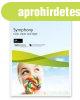 Xerox Symphony sz�nes m�sol�pap�r, A4, 160 g, vil�gosk�k (pa