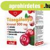DR Herz Tzegfonya kivonat 500 mg 60 db kapszula
