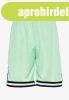 Szorts Karl Kani Small Signature Essential Mesh light mint