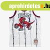 Mitchell & Ness Toronto Raptors #1 Tracy McGrady white S