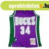 Mitchell & Ness Milwaukee Bucks #34 Ray Allen Swingman J