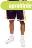Mitchell & Ness Shorts Los Angeles Lakers NBA Wild Life 