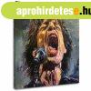 Mick Jagger - Legenda a sz�npadon | 100% eredeti akrilfestm�