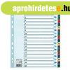 Regiszter, lamin�lt karton, A4, 1-20, Esselte Mylar (100163)