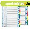 Regiszter, m�anyag, A4 Maxi, 10 r�szes, Esselte (15267)
