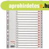 Regiszter, m�anyag, A4, 1-20, Esselte, sz�rke (100107)