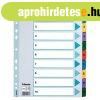 Regiszter, lamin�lt karton, A4, 1-10, Esselte Mylar (100161)