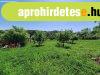 Bodrogolasziban eladó ingatlan áron alul! Bodrogolasziban eladó ingatlan áron alul!