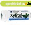 Xylitol r�g�gumi borsmenta 30 db
