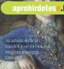 AZ ARISZTOKR�CIA T�ND�KL�SE �S BUK�SA MAGYARORSZ�GON, 1700?1