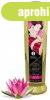 Shunga Erotic Massage Oil Sweet Lotus 250ml
