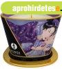 Shunga Massage Candle Exotic Fruits 170 ml