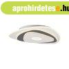 Design mennyezeti l�mpa feh�r, s�t�tsz�rke organikus form�va