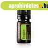 Forgive Meg�j�t� kever�k olaj 5ml - doTERRA